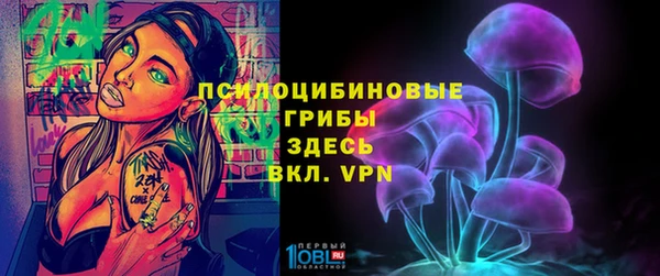 мдпв Арсеньев